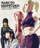Naruto: Shippuden Season 13 / :   13 